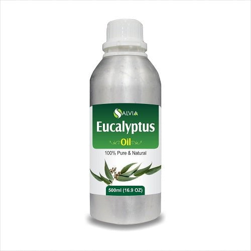 Salvia Natural Essential Oils,Greasy Oil,Anti Fungal,Anti-fungal Oil,Oil for Greasy Hair,Oil for Greasy Hair 500ml Eucalyptus Oil (Nilgiri Oil) Pure Essential Oil Salvia Natural Essential Oils,Greasy Oil,Anti Fungal,Anti-fungal Oil,Oil for Greasy Hair,Oil for Greasy Hair 500ml Eucalyptus Oil (Nilgiri Oil) Pure Essential Oil